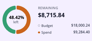 A ring chart showing 48% of a budget remaining: $8,715.84 remaining, from an $18,000.24 budget with $9,284.40 spent